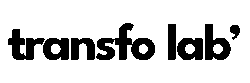 Logo transfo lab'